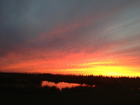 Sunset 1